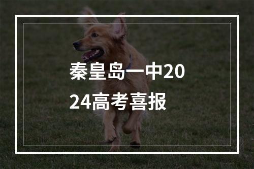 秦皇岛一中2024高考喜报