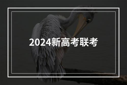 2024新高考联考