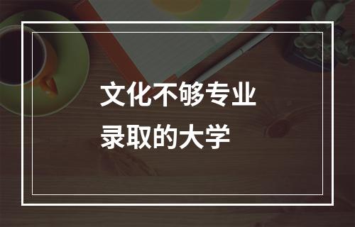 文化不够专业录取的大学