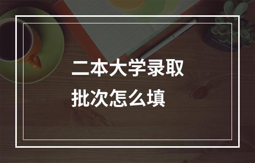 二本大学录取批次怎么填