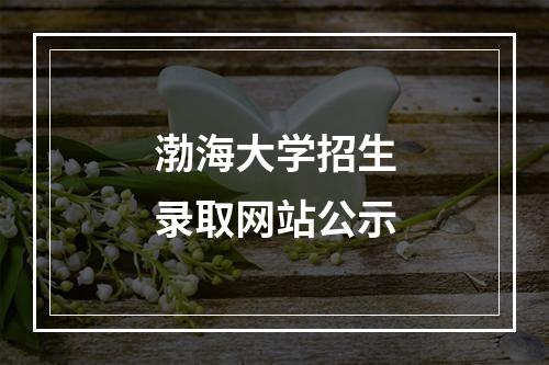 渤海大学招生录取网站公示