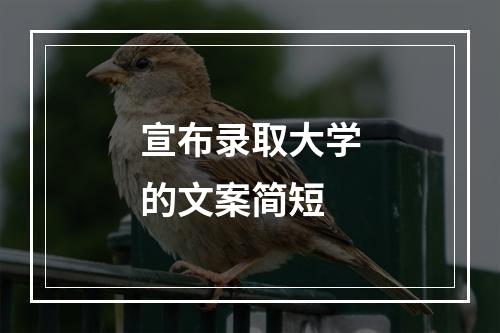 宣布录取大学的文案简短