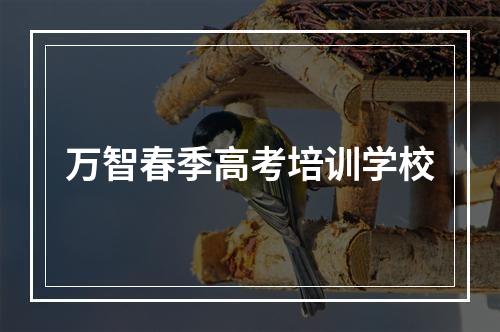 万智春季高考培训学校