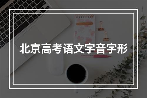 北京高考语文字音字形