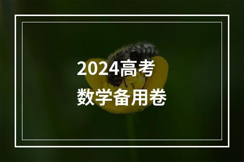 2024高考数学备用卷