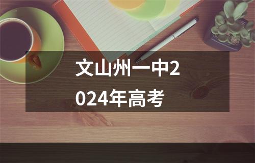 文山州一中2024年高考