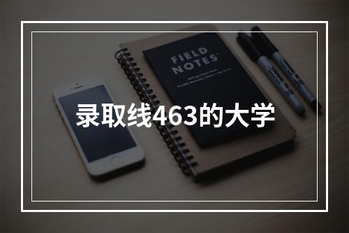 录取线463的大学