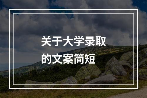 关于大学录取的文案简短