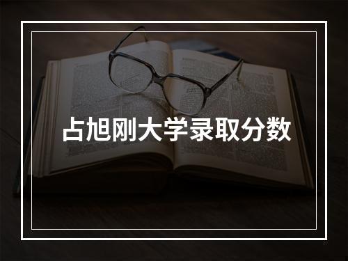 占旭刚大学录取分数