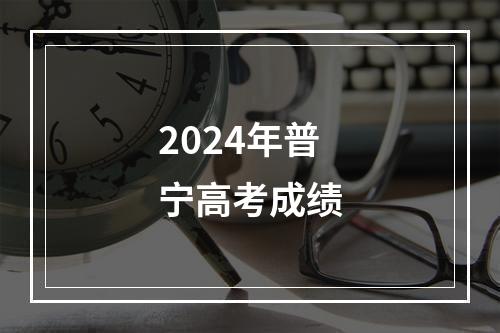 2024年普宁高考成绩