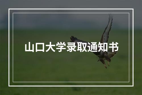 山口大学录取通知书