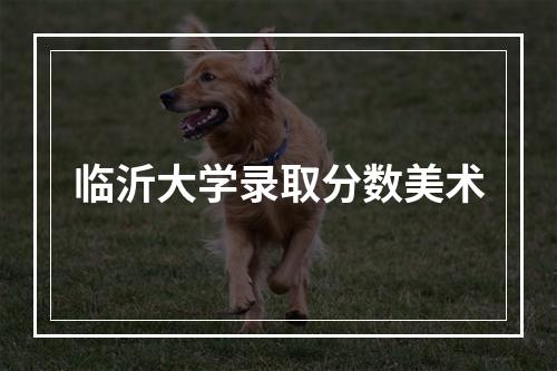 临沂大学录取分数美术