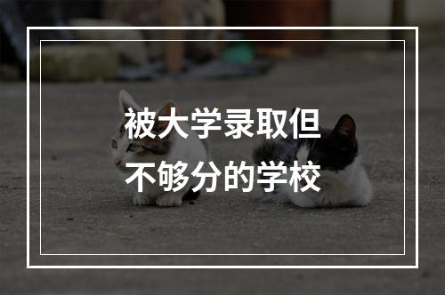 被大学录取但不够分的学校