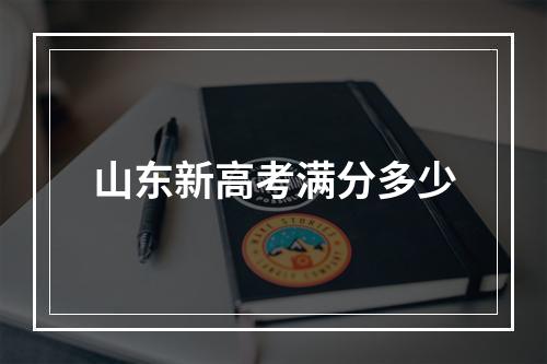 山东新高考满分多少