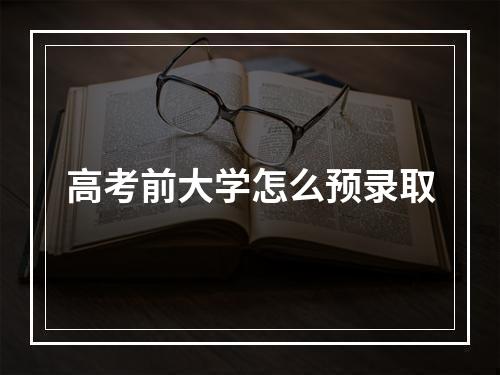 高考前大学怎么预录取