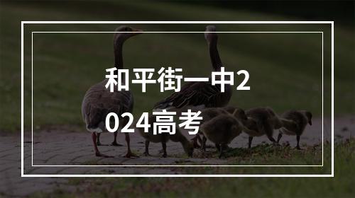 和平街一中2024高考