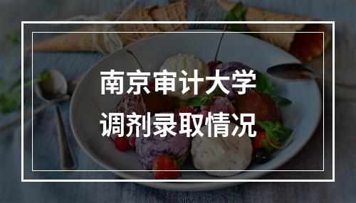 南京审计大学调剂录取情况