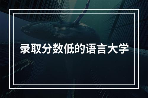 录取分数低的语言大学