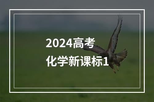 2024高考化学新课标1