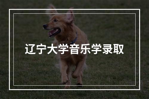 辽宁大学音乐学录取