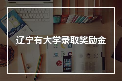 辽宁有大学录取奖励金