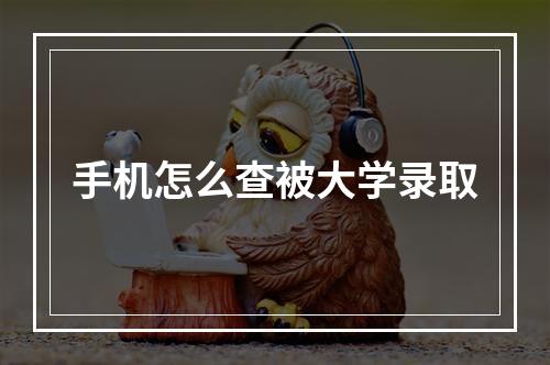 手机怎么查被大学录取