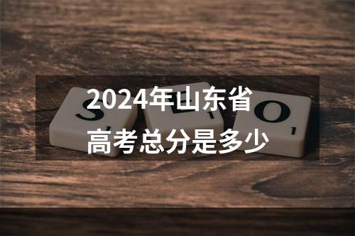 2024年山东省高考总分是多少