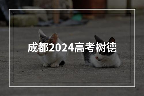 成都2024高考树德