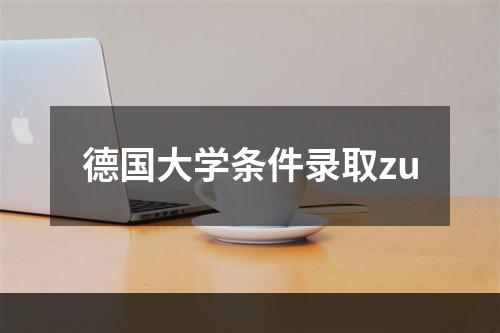 德国大学条件录取zu