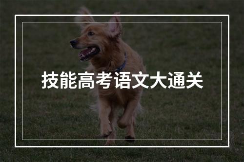 技能高考语文大通关