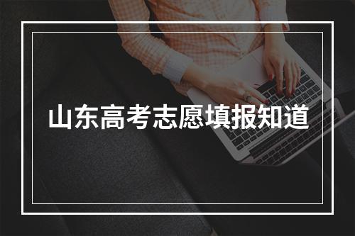 山东高考志愿填报知道