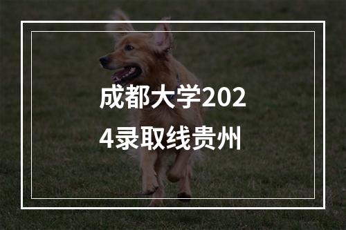 成都大学2024录取线贵州