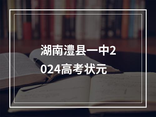 湖南澧县一中2024高考状元