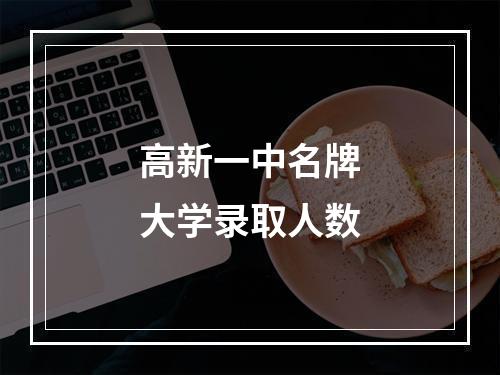 高新一中名牌大学录取人数