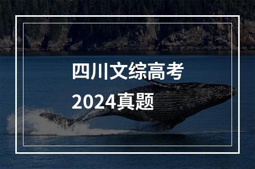 四川文综高考2024真题