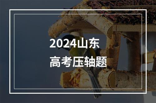 2024山东高考压轴题