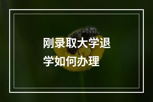 刚录取大学退学如何办理