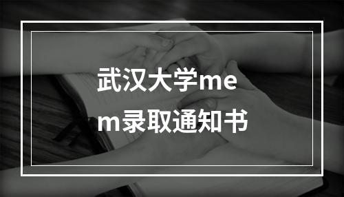 武汉大学mem录取通知书