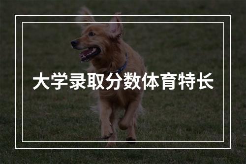 大学录取分数体育特长