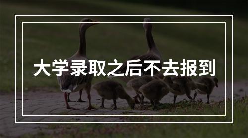 大学录取之后不去报到