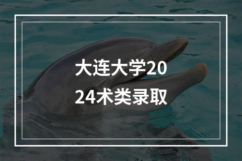 大连大学2024术类录取