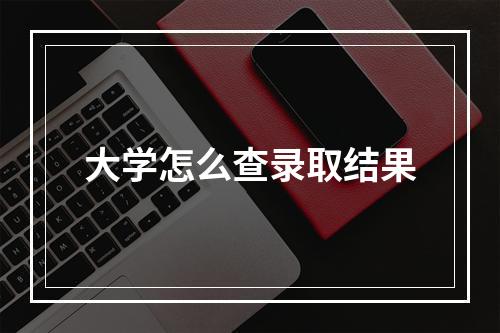 大学怎么查录取结果