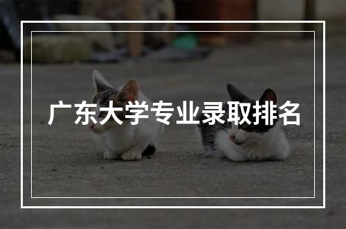 广东大学专业录取排名