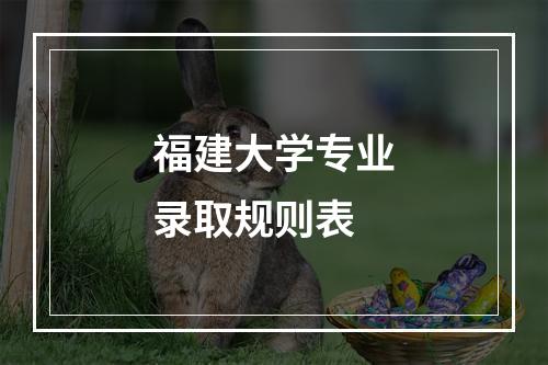 福建大学专业录取规则表