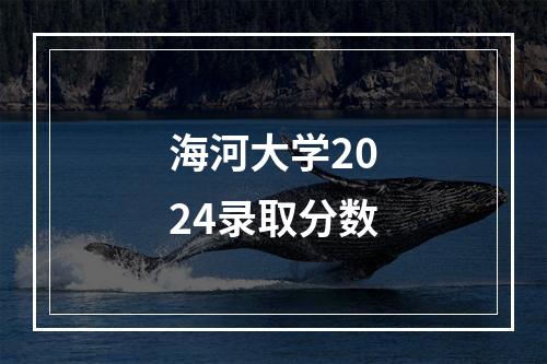 海河大学2024录取分数