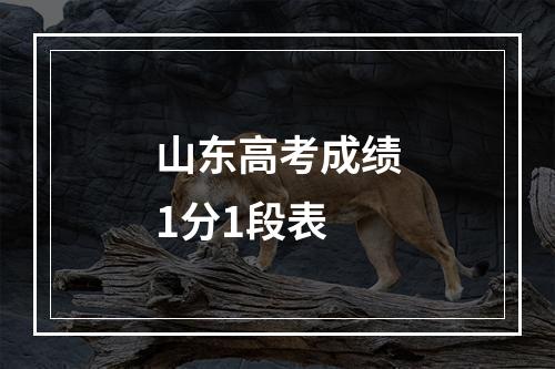 山东高考成绩1分1段表