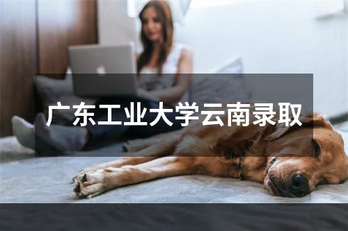 广东工业大学云南录取