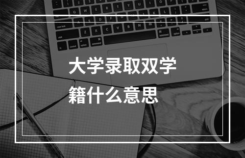 大学录取双学籍什么意思