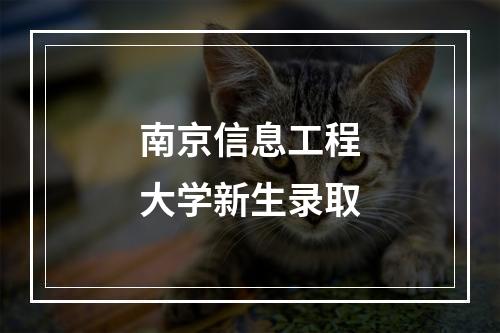 南京信息工程大学新生录取