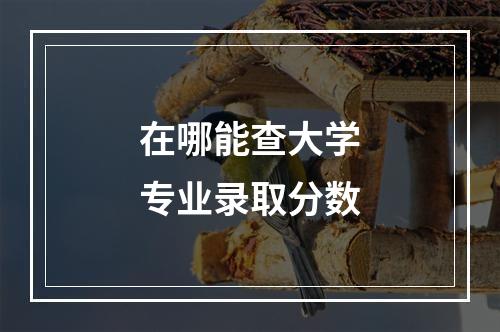 在哪能查大学专业录取分数